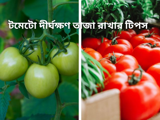 Tips to keep tomatoes fresh for longer