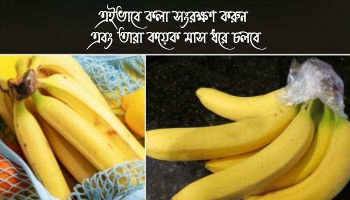 কলা সংরক্ষণ