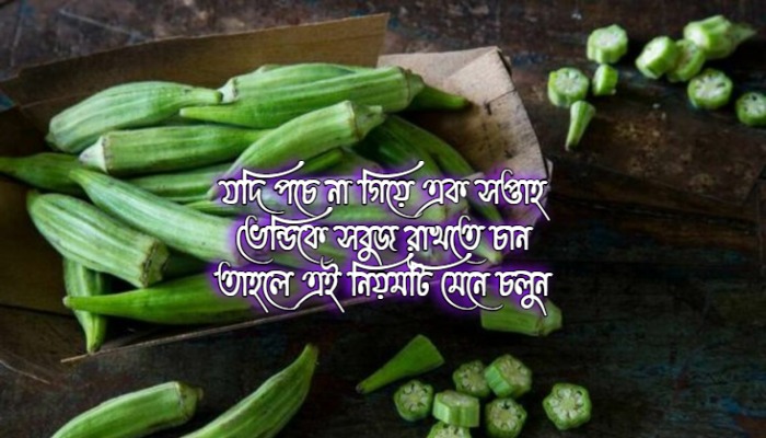 ভেন্ডি সংরক্ষণ